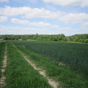 Randonnée à Cauverville en roumois