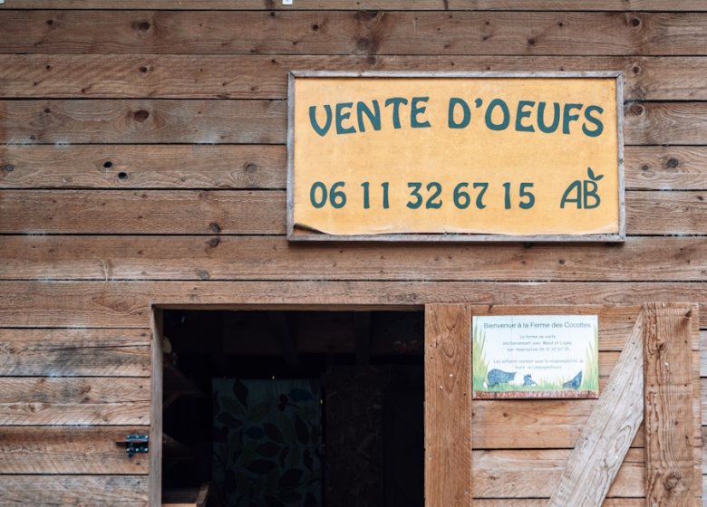 Visite de la ferme des cocottes