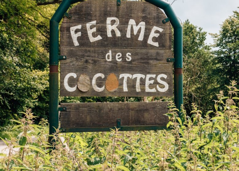 Visite de la ferme des cocottes