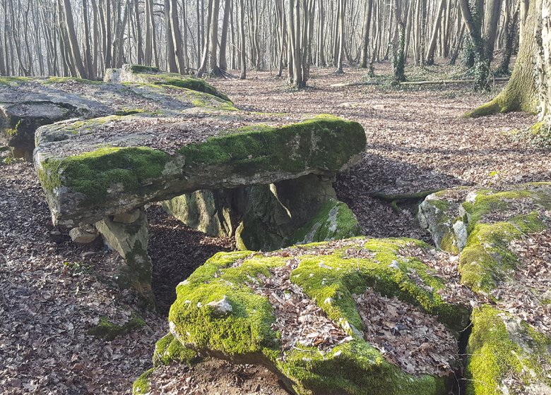 Journées européennes du patrimoine 2024 : Visite commentée de l’Allée couverte néolithique