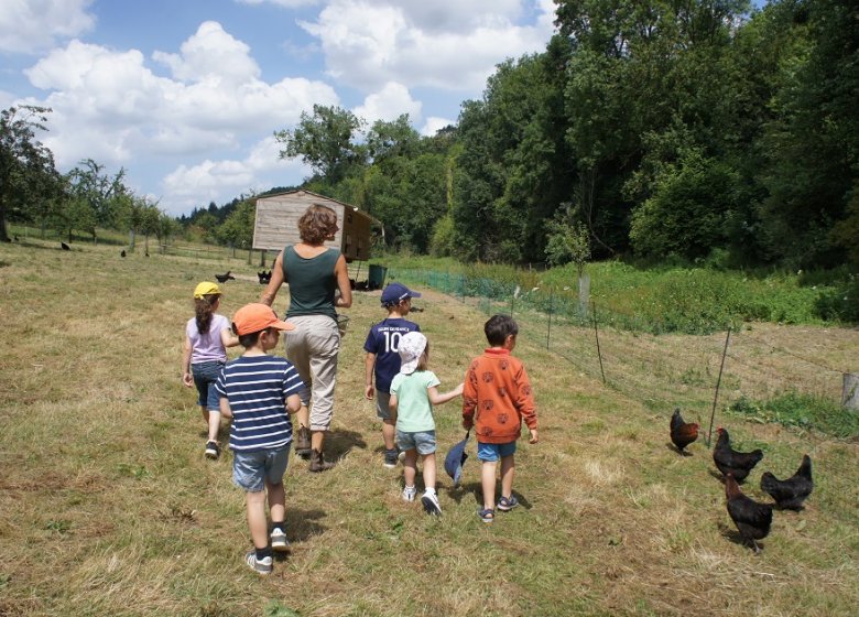 La Ferme des  Cocottes