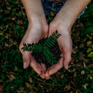 Atelier : Préparation du jardin avant l