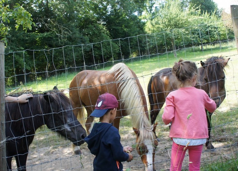 La Ferme des  Cocottes