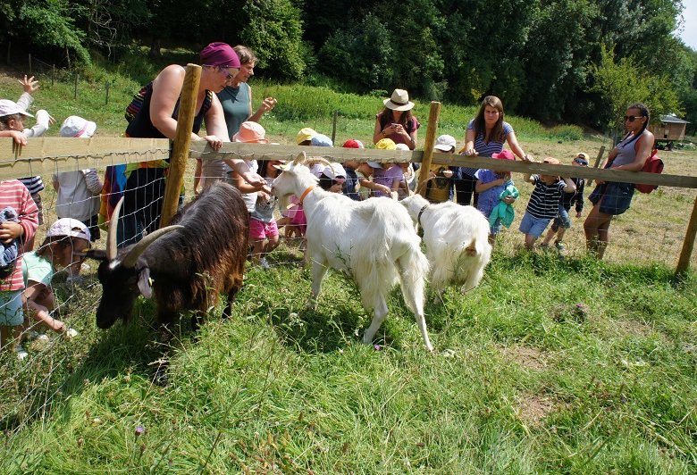 La Ferme des  Cocottes