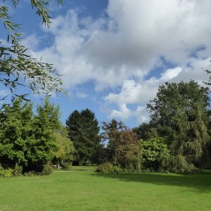 Journées du Patrimoine : Visite guidée du jardin... Du 21 au 22 sept 2024