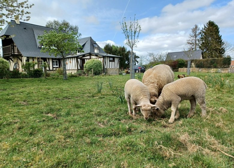 Gîte Les Griottes