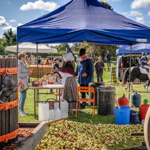 Fête de la pomme et du cheval