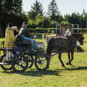 Fête de la pomme et du cheval : randonnée équestre... Le 29 sept 2024