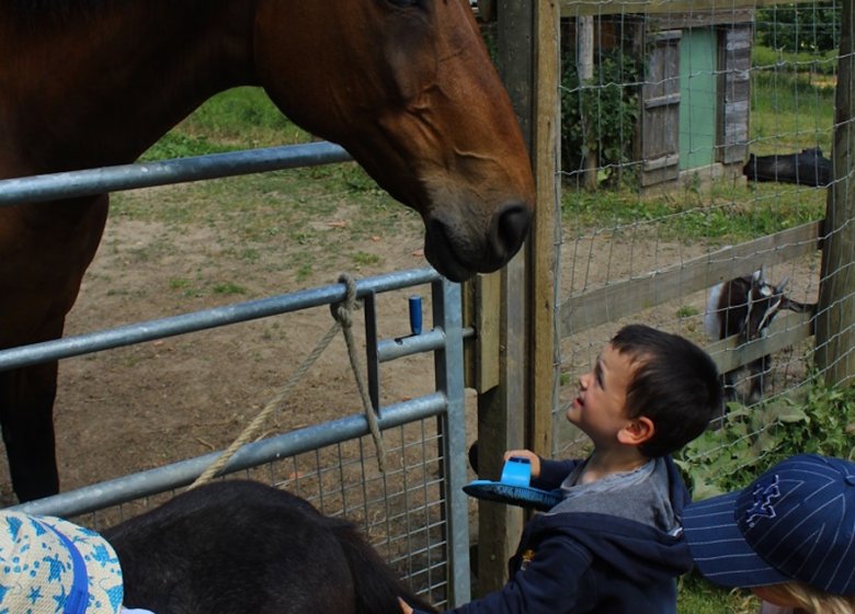 La Ferme des  Cocottes