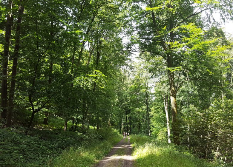 Compostelle : de Dieppe à Chartres (partie euroise)