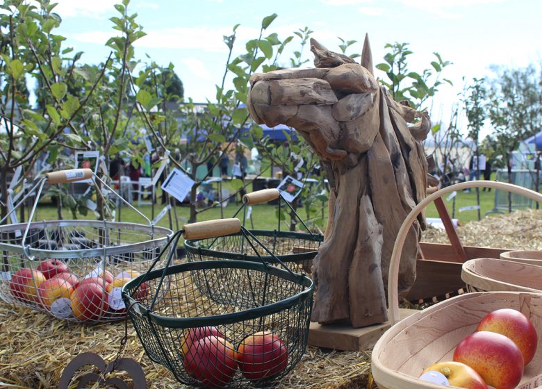 Fête de la pomme et du cheval : marché des producteurs locaux, artistes et artisans