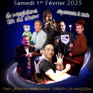 Festival de Magie