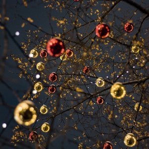 Marché de Noël aux Barils Le 1 déc 2024