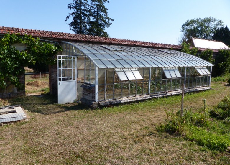 Visite au potager